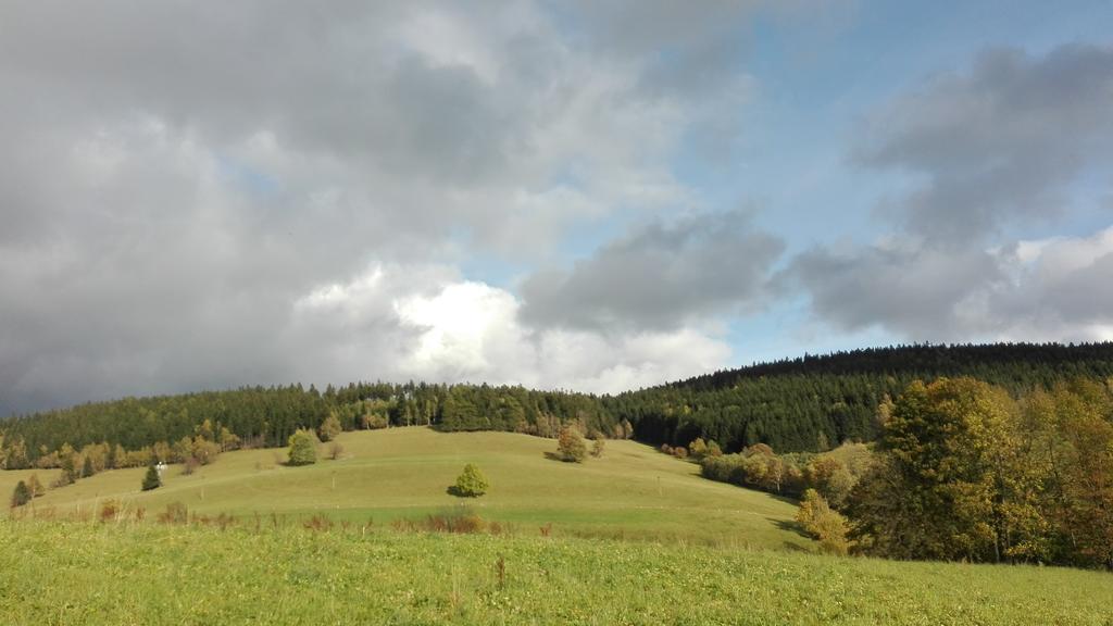 Penzion Liberta Horní Maršov Exteriör bild