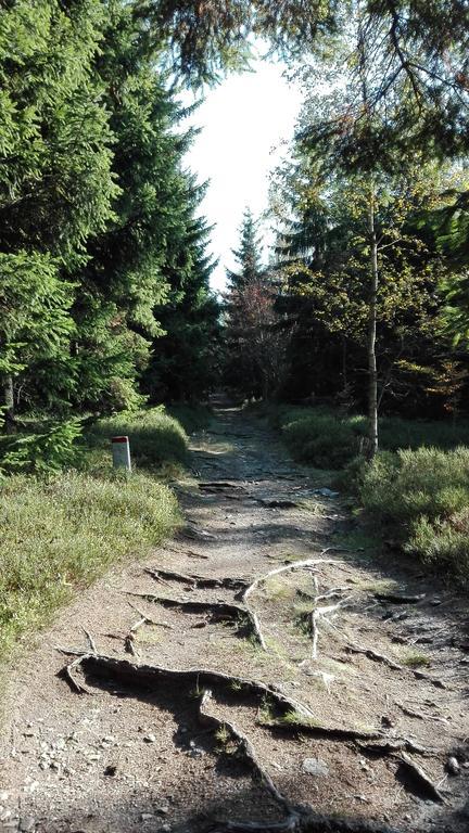 Penzion Liberta Horní Maršov Exteriör bild