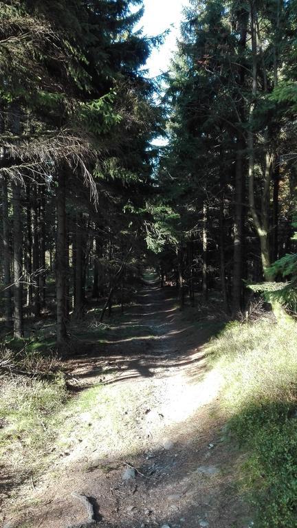 Penzion Liberta Horní Maršov Exteriör bild